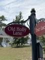 113 Old Holly Lane - Photo 13