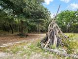 2013 Sea Gull Road - Photo 6