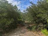 2234 Sailfish Road - Photo 5
