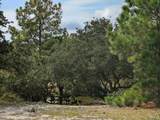 2234 Sailfish Road - Photo 6