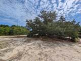 2234 Sailfish Road - Photo 11