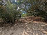 2234 Sailfish Road - Photo 1