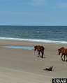 2011 Ocean Pearl Road - Photo 3