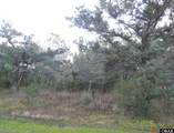 TBD Sarah Ellen Drive - Photo 2