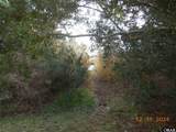 TBD Sarah Ellen Drive - Photo 11