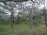 TBD Sarah Ellen Drive - Photo 3