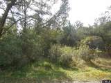 TBD Sarah Ellen Drive - Photo 7