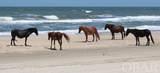 2004 Sea Horse Road - Photo 15