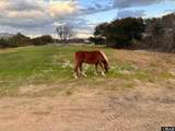 2149 Sandpiper Road - Photo 5