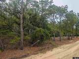 405 Red Snapper Lane - Photo 2