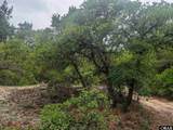 407 Red Snapper Lane - Photo 4