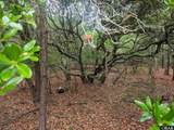 407 Red Snapper Lane - Photo 7