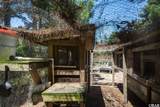 244 Spot  Road - Photo 36