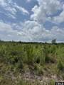 TBD Cove Road - Photo 1
