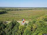151 River Bridge Road - Photo 49