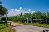 539 Wilkinson Street - Photo 48