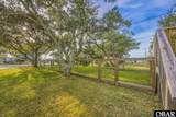 50078 Live Oak Lane - Photo 4