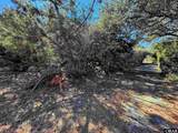 23875 Nc Highway 12 - Photo 8