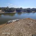 2130 Petrel Road - Photo 45