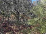 2392 Sandpiper Road - Photo 8