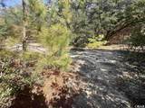 2392 Sandpiper Road - Photo 9