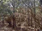 2314 Sandpiper Road - Photo 12