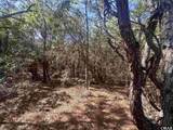 2314 Sandpiper Road - Photo 13
