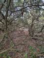 2356 Sandpiper Road - Photo 19