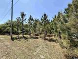 40116 Kinnakeet Reef Court - Photo 2