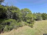 40116 Kinnakeet Reef Court - Photo 4