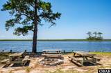 4164 Thick Ridge Road - Photo 43