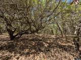 2256 Sandpiper Road - Photo 11