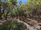 2256 Sandpiper Road - Photo 8