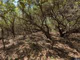 2256 Sandpiper Road - Photo 10