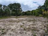 2126 Sandpiper Road - Photo 5