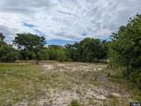2126 Sandpiper Road - Photo 6