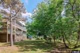 104 Cook Drive - Photo 43