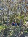 26212 Bluebeard Road - Photo 46