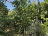 6958/6976 Old Manns Harbor Road - Photo 4