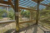 42230 Greenwood Place - Photo 47