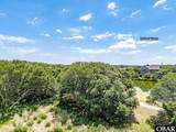 564 Live Oak Court - Photo 1