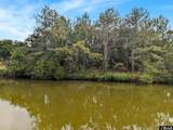 2241 Tarpon Road - Photo 11
