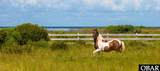 50 & 70 Sanddollar Road - Photo 71