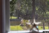166 Dogwood Trail - Photo 32