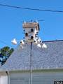 104 Locust Street - Photo 42