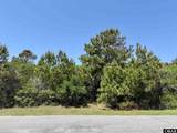 40123 Kinnakeet Reef Court - Photo 12