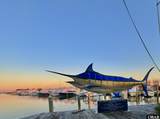 11 Sailfish Drive - Photo 57