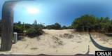 2356 Carova Road - Photo 9
