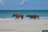 2245 Ocean Pearl Road - Photo 13