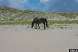 2247 Ocean Pearl Road - Photo 16